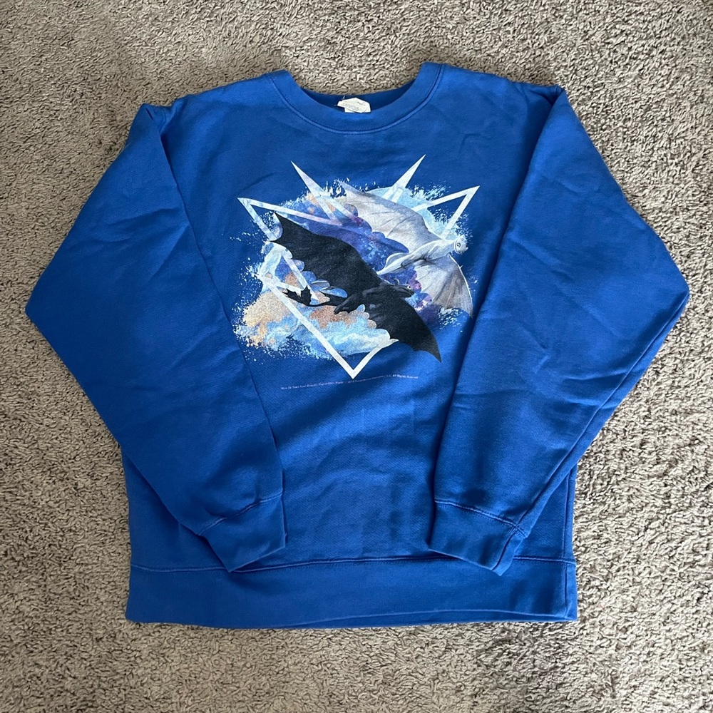 How to train your dragon sweatshirt